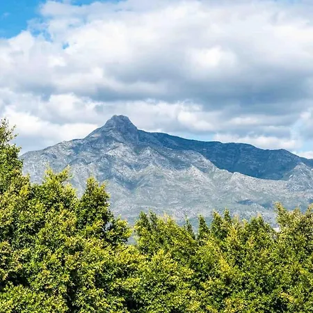 The Iconic Torremora By Better Bookings * Marbella